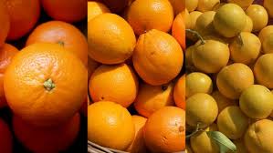 संतरा और कीनू में क्या अंतर है? जानें सेहत के लिए क्या है बेहतर