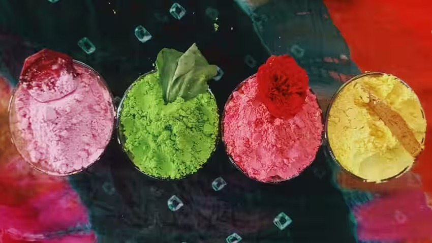 बस्तर की बिहान दीदियां घोलेंगी होली में कुदरती रंग