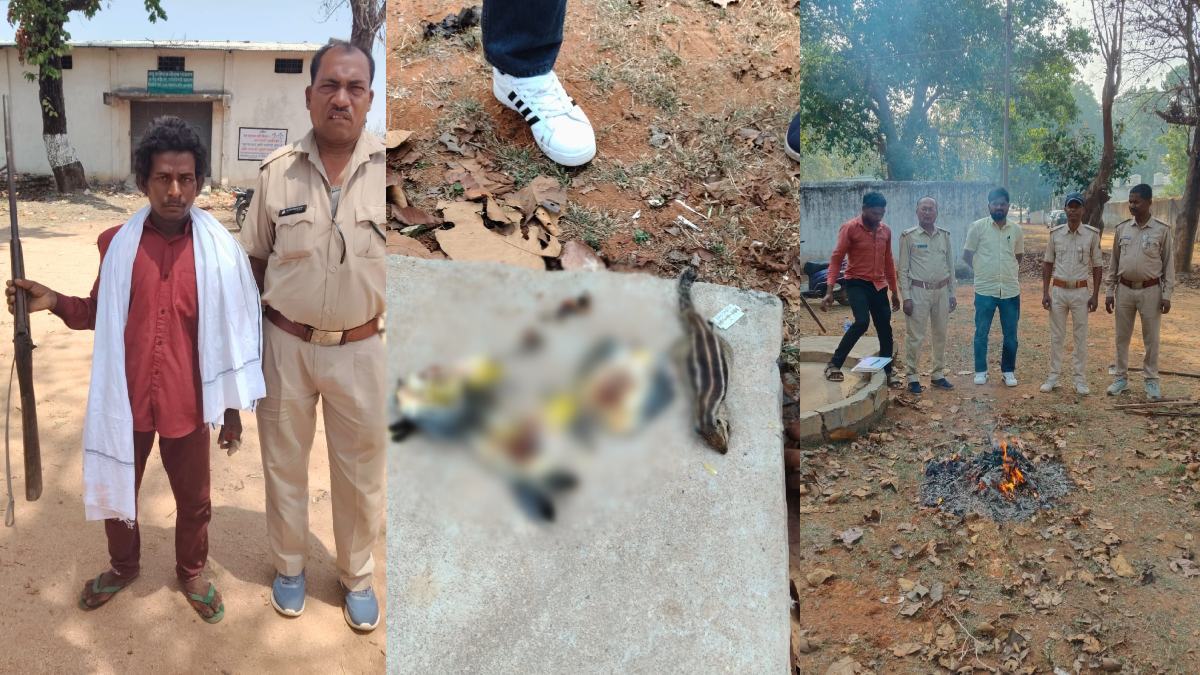 बलरामपुर में वन्यजीवों के दुश्मनों पर वार, 5 आरोपी गिरफ्तार,एक फरार