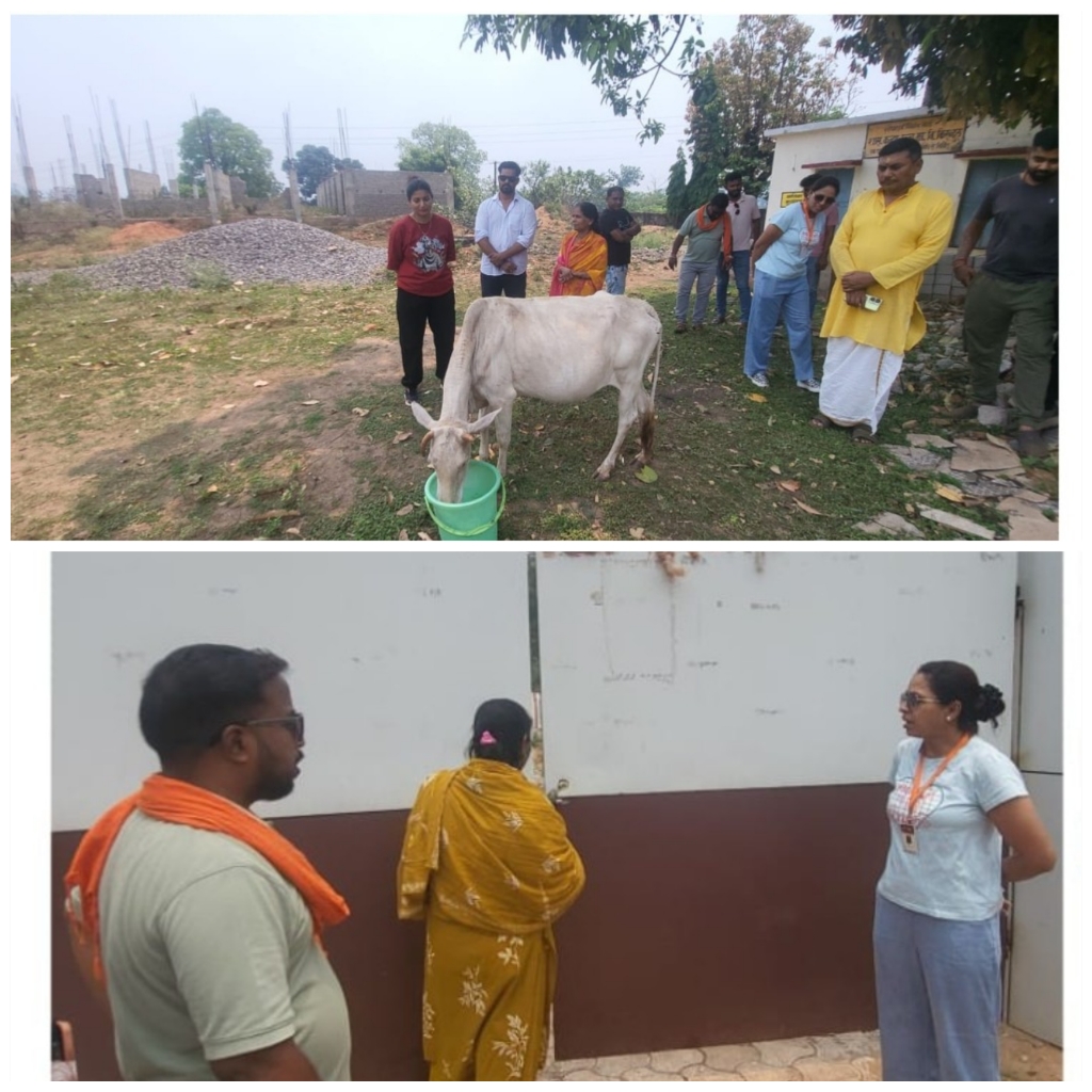 स्कूल परिसर में 24 घंटे तड़पती रही गाय, प्रिंसिपल की लापरवाही पर उठा बड़ा सवाल
