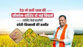 जानिए कौनसी है कम पानी में अधिक उत्पादन देने वाली धान की किस्म और क्या है इनकी विशेषताएं