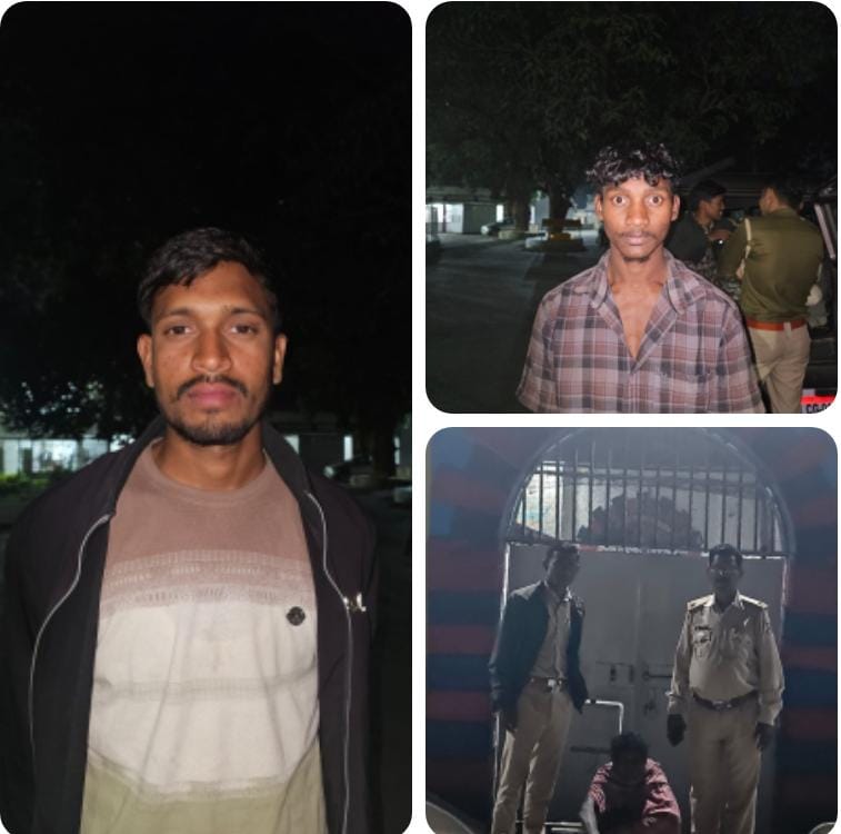 तमनार वन परिक्षेत्र में सख्त कार्रवाई:अवैध कटाई व तस्करी के दो प्रकरणों में 3 आरोपी गिरफ्तार, न्यायिक रिमांड पर जेल