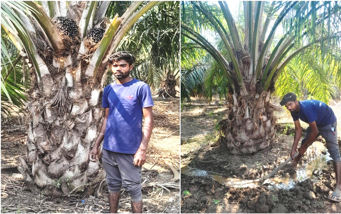 उद्यानिकी फसलों से समृद्धि की राह पर दुर्ग जिले के कृषक