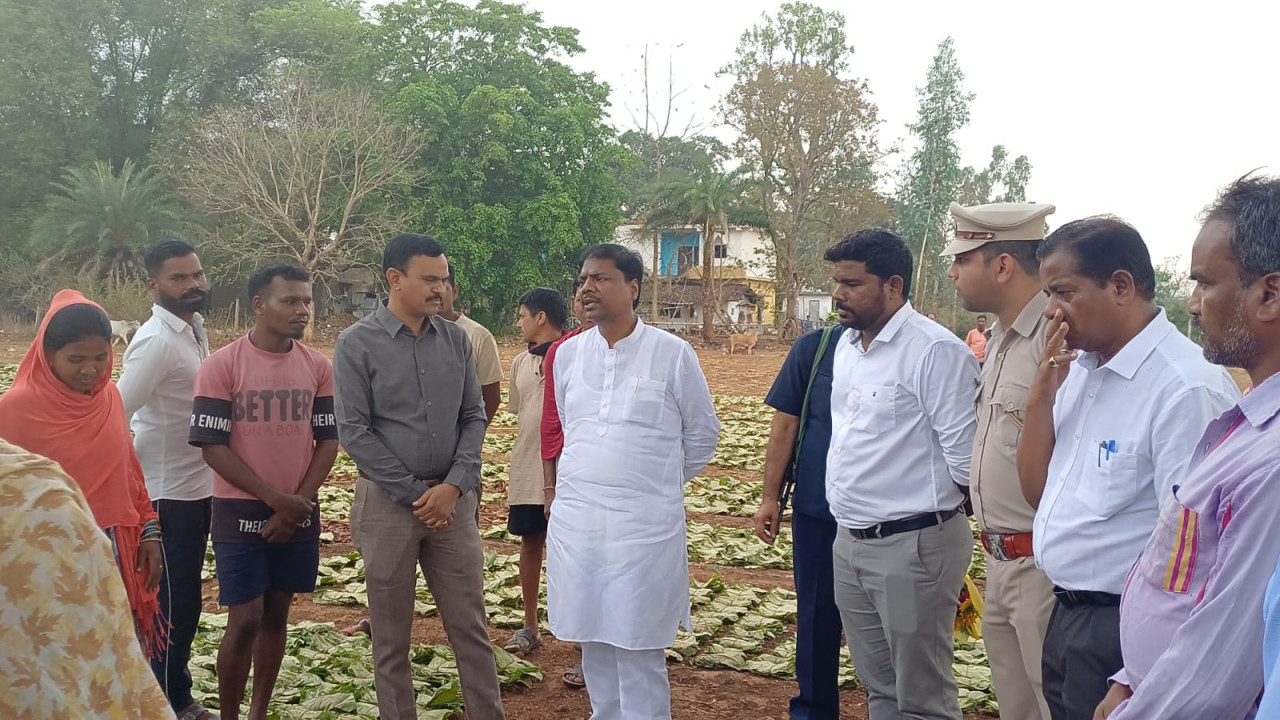 तेंदूपत्ता फड़ पर मंत्री केदार कश्यप का औचक निरीक्षण, मोबाइल से कराया ऑनलाइन भुगतान