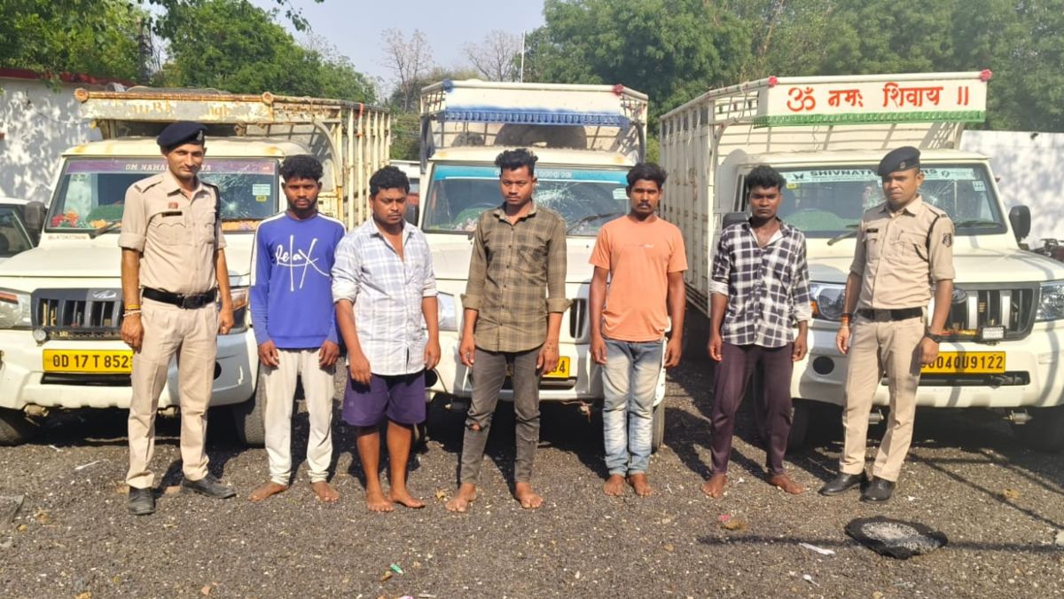 जांजगीर-चांपा पुलिस की बड़ी कार्रवाई: ओडिशा ले जाए जा रहे 15 मवेशी मुक्त, 5 तस्कर गिरफ्तार