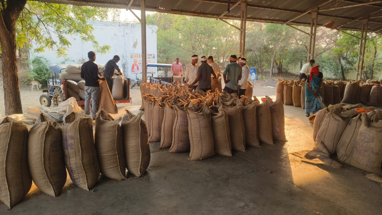 पीएम आशा अंतर्गत दलहन-तिलहन फसलों के उपार्जन हेतु पंजीयन 20 अप्रैल तक