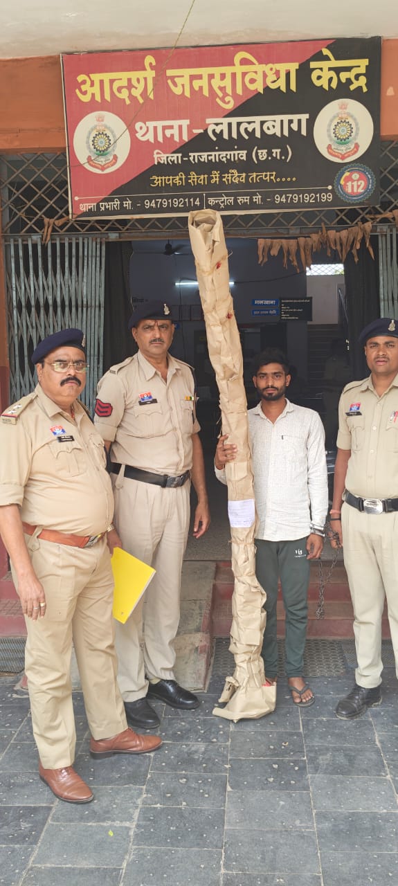 राजनांदगांव में घर की बाड़ी में उगा रहा था गांजा, पुलिस ने आरोपी को किया गिरफ्तार