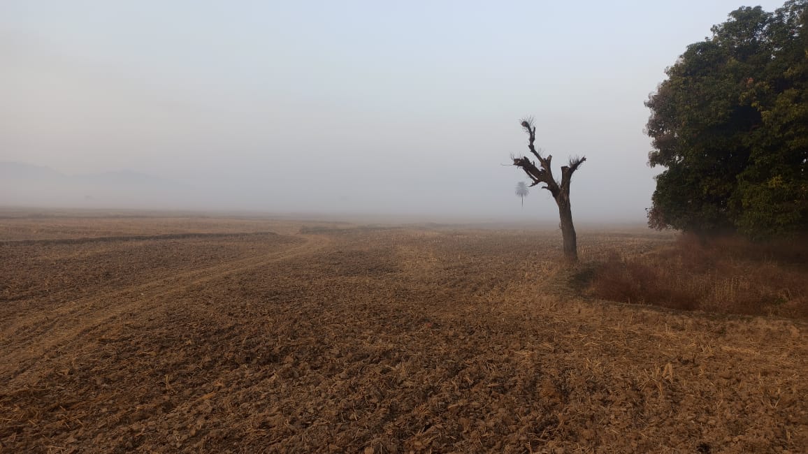 ठिठुरा समुचा सरगुजा- कंपकंपाती ठंड से जनजीवन प्रभावित 