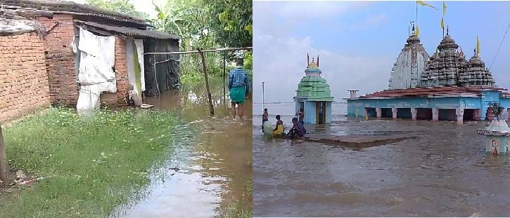 महानदी के तटवर्ती गांव में भरा पानी, किसानों के हजारों एकड़ फसल चौपट