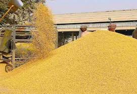 केशला सहकारी समिति में पुराना धान लाते पकड़ा गया कृषक, अभद्र व्यवहार पर बी.एन.एस.एस. के तहत मामला दर्ज