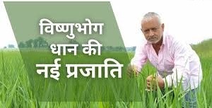 छत्तीसगढ़ के किसान ने उगाई विष्णुभोग धान की नई प्रजाति,जानिए क्या है इसकी विशेषता