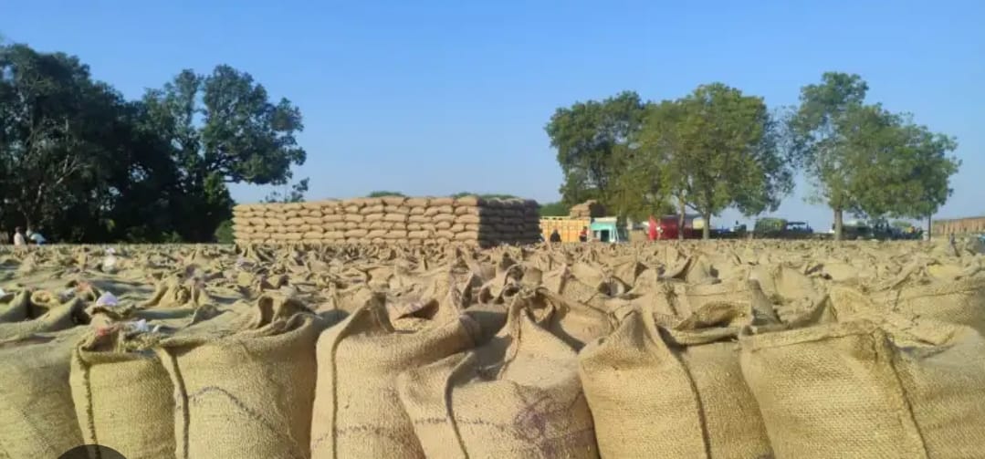 आखिर कब होंगी बुनगा धान खरीदी केंद्र के दोषियों पर कार्यवाही