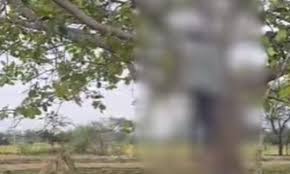 24 वर्षीय युवक की पेड़ में लटक रही थी लाश, गांव में फैली सनसनी