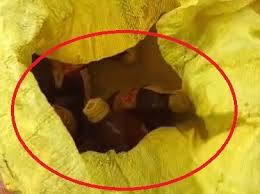 राजधानी रायपुर में खुलेआम शराब बेच रहे कोचिए