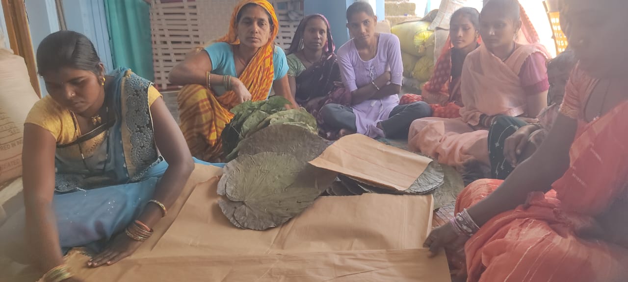 प्रयोग समाजसेवी संस्था द्वारा महिला स्वावलंबन को बढ़ावा, दोना-पत्तल निर्माण का दो दिवसीय प्रशिक्षण शुरू