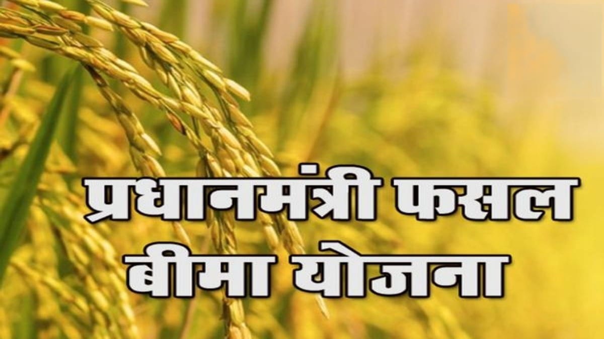 31 जुलाई डेडलाइन! फसल बीमा नहीं कराया तो मुआवजे से हो सकते हैं वंचित