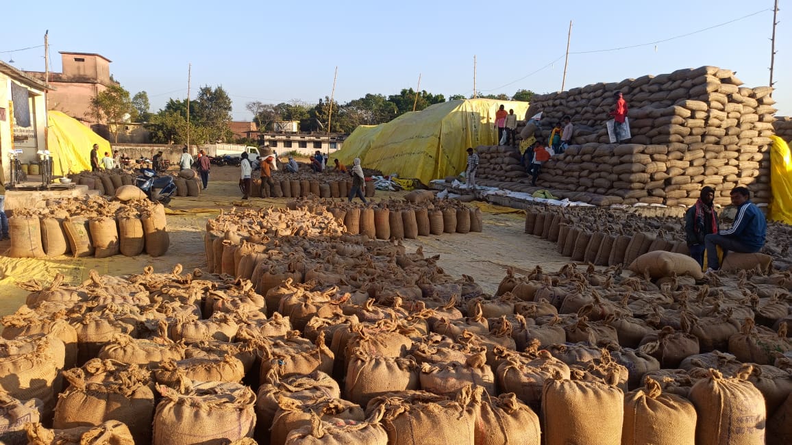 समितियों में धान का अम्बार उठाव नहीं होने से पड़ने लगी जमीन छोटी 