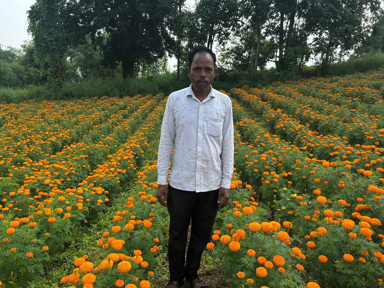 पारंपरिक खेती से उद्यानिकी की ओर बदला रुख, गेंदा फूल की खेती से किसान को मिला डेढ़ लाख का शुद्ध  लाभ
