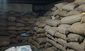 जिले में अवैध धान भंडारण एवं परिवहन पर सतत निगरानी : चुनापत्थर में 100 बोरी अवैध धान जब्त