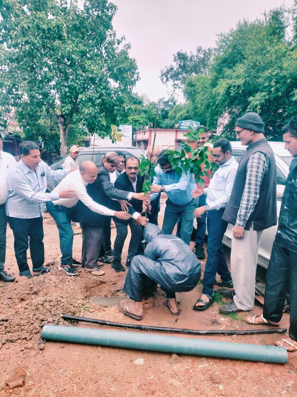 तहसील कार्यालय परिसर में वृक्षारोपण