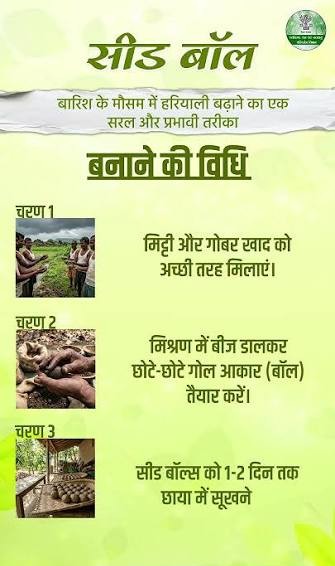 सीड बॉल अभियान- हरियाली बढ़ाने का सरल और प्रभावी माध्यम