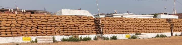 धान उपार्जन केन्द्र टेकारी में 60 हजार कट्टा धान जाम , खरीदी हेतु जगह की किल्लत 