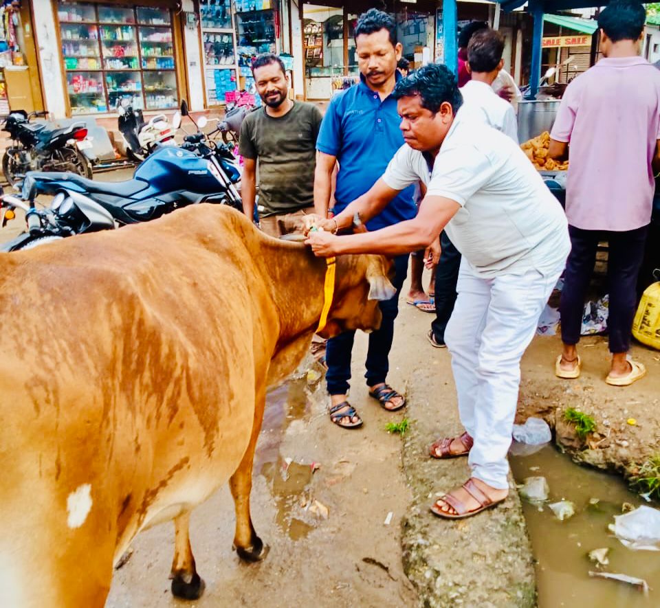 सुकमा जिले में सड़क सुरक्षा अभियान  सड़क हादसों पर लगेगा अंकुश,रात में चमकेंगे रेडियम बेल्ट से सजे पशु