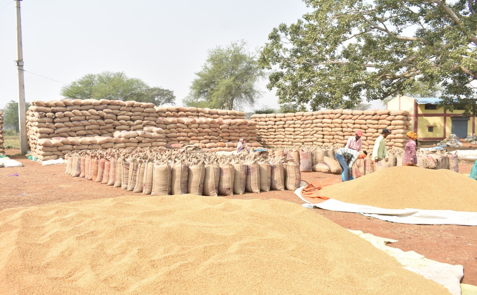 समर्थन मूल्य पर धान खरीदी के अंतर्गत जिले के 18,312 किसानों को किया गया 132 करोड़ रूपये से अधिक की राशि का शुद्ध भुगतान