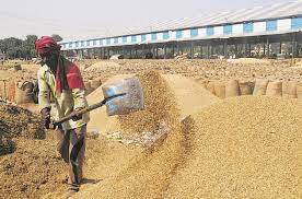 राज्य में अब तक 63.22 लाख टन धान की समर्थन मूल्य पर हो चुकी खरीदी