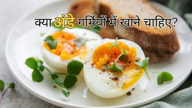जानिए किस समय कितनी मात्रा में खाएं अंडा क्या गर्मियों में यह खाना चाहिए या नहीं