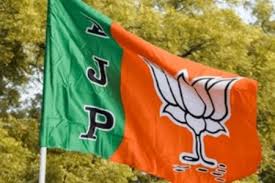 प्रदेश भाजपा अध्यक्ष किरण देव सिंह ने किया गरियाबंद जिला कार्यकारिणी गठित