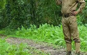 रायगढ़ जिले में वनरक्षक पद के चयनित अभ्यर्थियों को प्रदाय किया गया नियुक्ति पत्र
