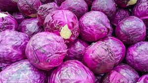 इस तरह घर पर उगाएं पर्पल पत्तागोभी,मिलेगा सेहत के साथ शानदार मुनाफा…