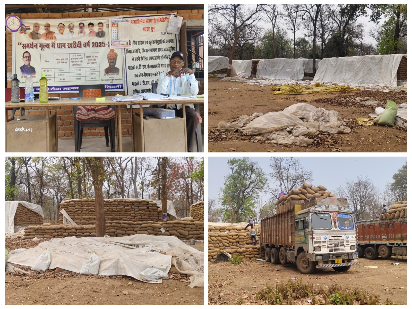 अचानक बारिश और ओलावृष्टि से सहकारी समितियां संकट में, खुले में रखा धान भीगने के खतरे में