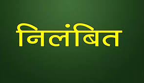 शासकीय भूमि के अवैध तरीके से विक्रय में शामिल होने के आरोप में पटवारी रेवती रमन सिंह निलंबित