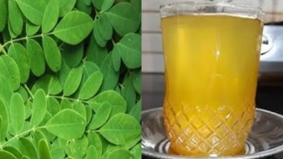 प्राकृतिक इलाज: सहजन की पत्तियां करेंगी शुगर लेवल कंट्रोल, मिलेंगे कई फायदे