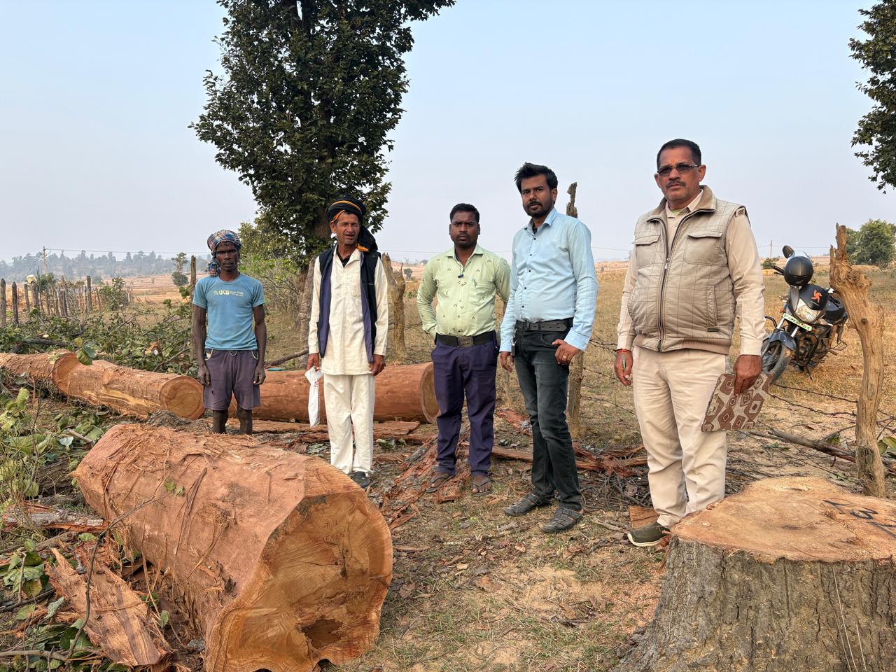 ग्राम जोलगी में बिना अनुमति कटे साल वृक्ष जब्त ,भूमि स्वामी पर 1.25 लाख रुपये का अर्थदंड प्रस्तावित