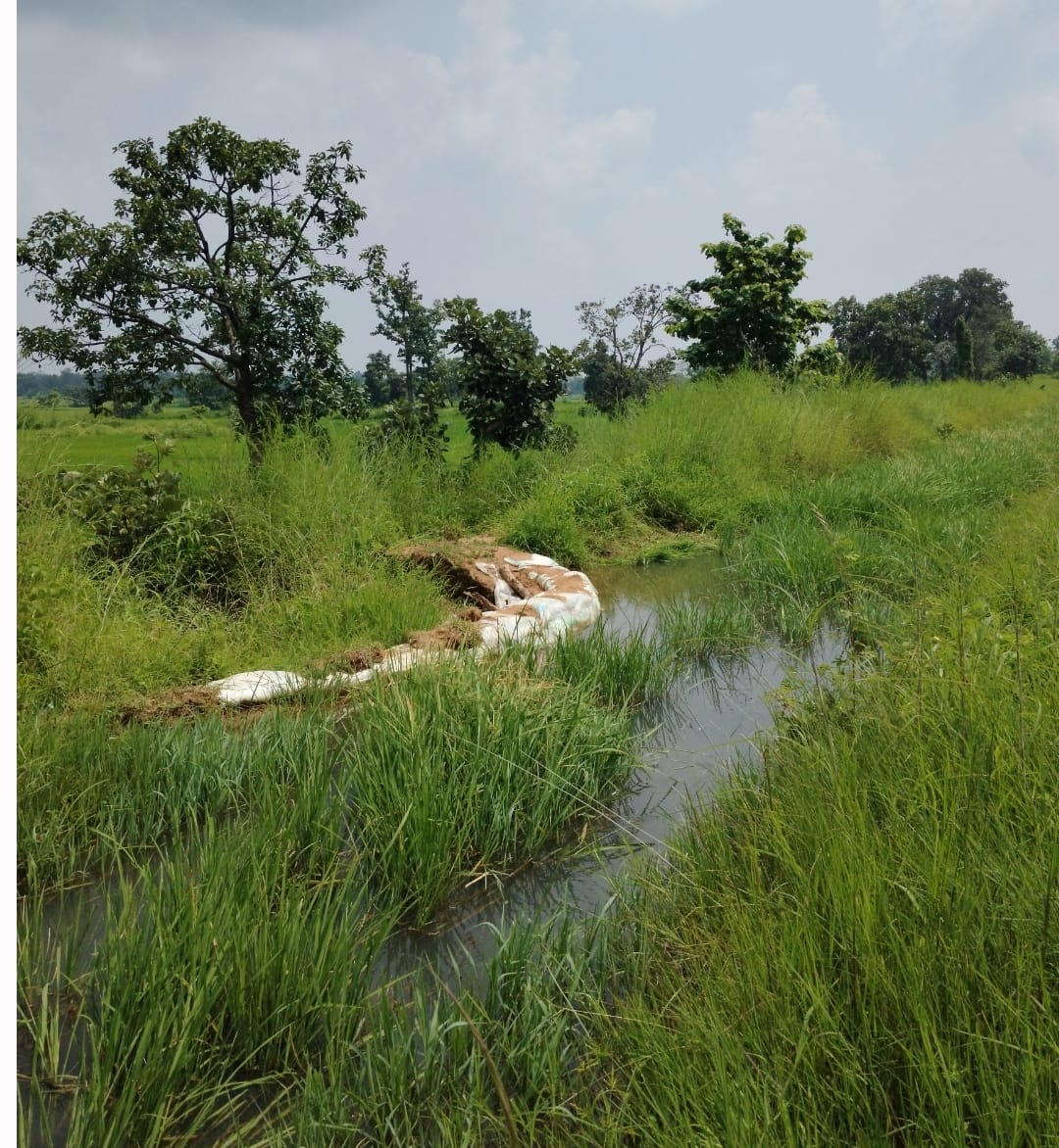 गरियाबंद जल संसाधन विभाग का बड़ा कारनामा : फिंगेश्वर शाखा में 5 लाख रुपये कागजों पर खर्च, जमीन पर काम नहीं किसानों ने लगाया भ्रष्टाचार का आरोप, जांच की मांग