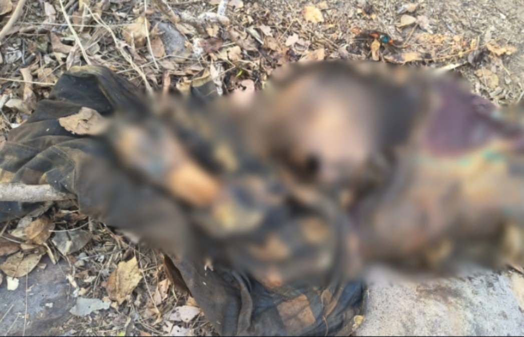 बालोद के जंगल में सड़ी-गली लाश मिलने से सनसनी, इलाके में हड़कंप
