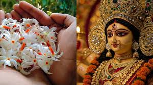 शारदीय नवरात्रि में हरसिंगार के फूल से करें ये उपाय,मां दुर्गा धन-संपत्ति से भर देंगी झोली