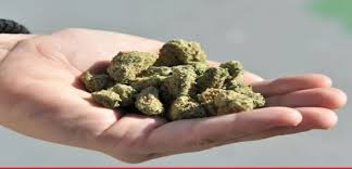 रायपुर में  विदेशी गांजा तस्करी का पर्दाफाश, तस्कर गिरफ्तार