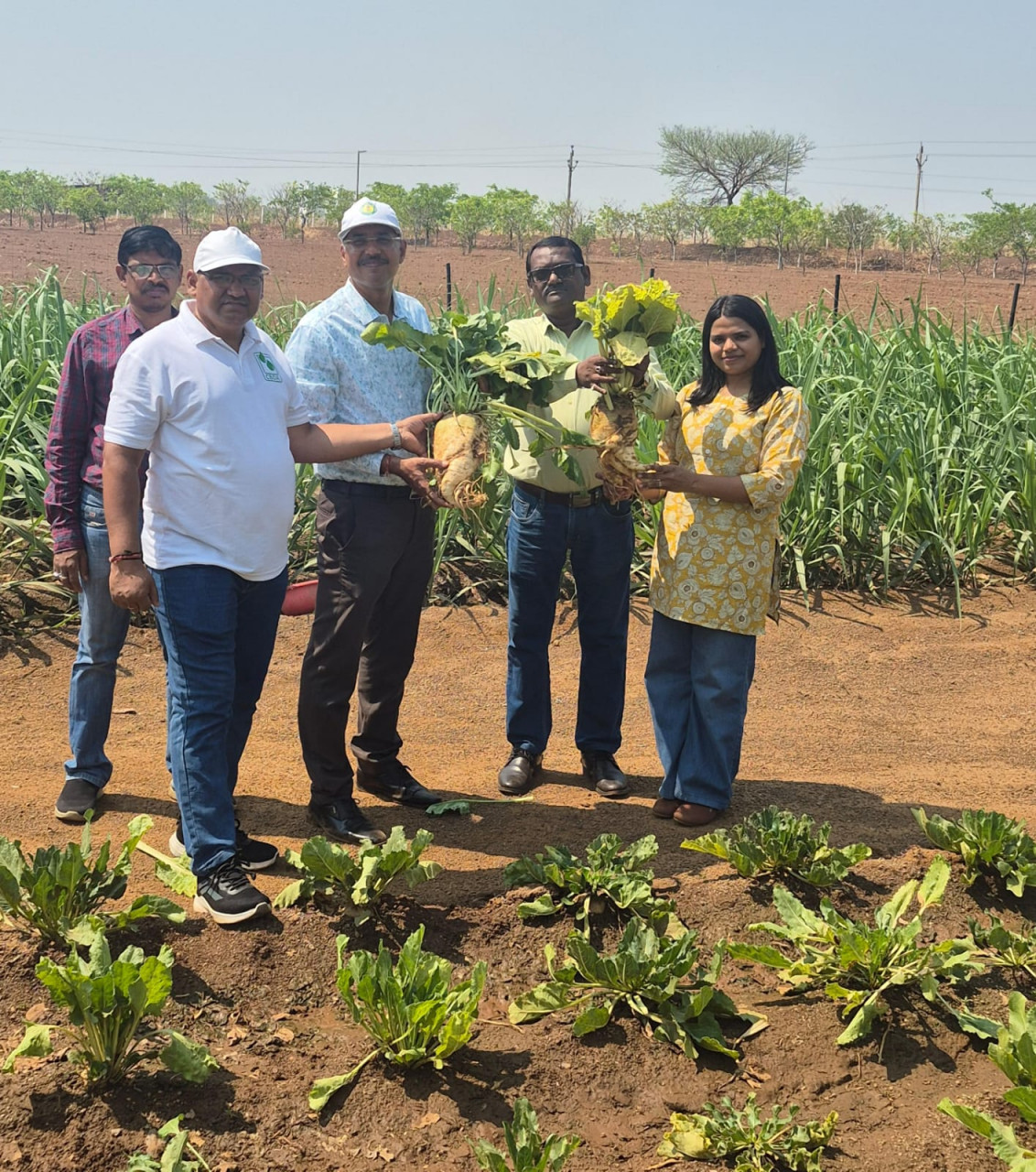 “छत्तीसगढ़ में कृषि का नया प्रयोग: शुगरबीट और गन्ना की संयुक्त खेती पर शोध शुरू”