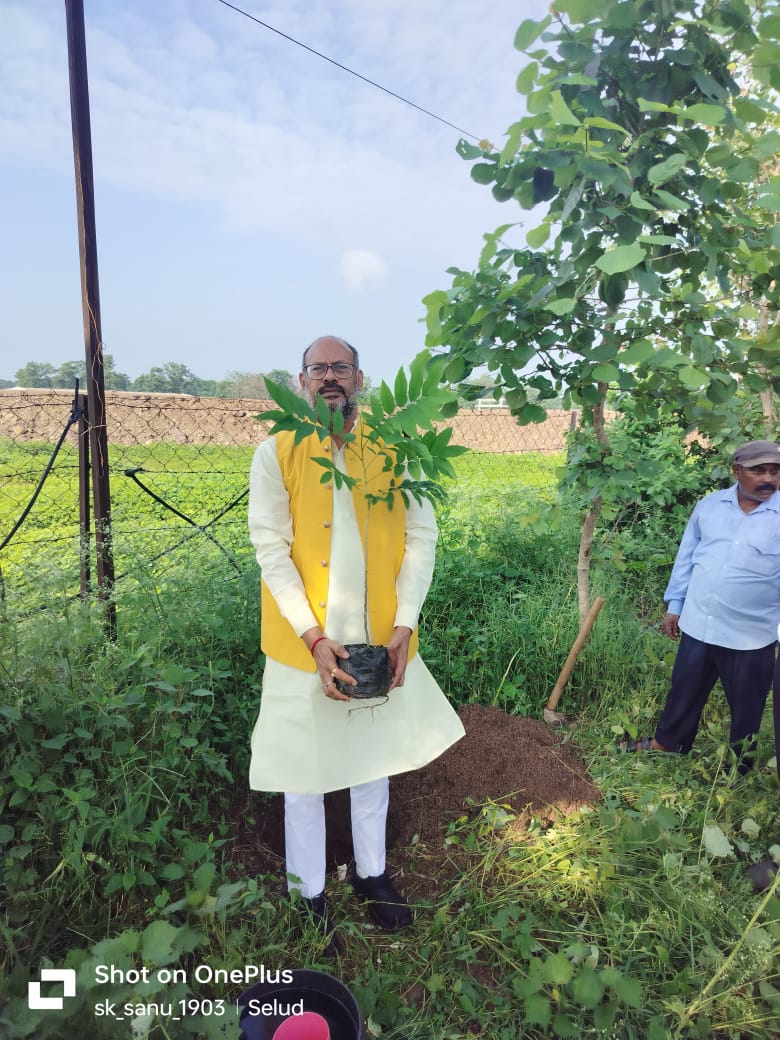 भाजपा जिलाध्यक्ष जितेन्द्र वर्मा ने अपने जन्म दिन पर दो रीठा  के पौधे का रोपण किया 