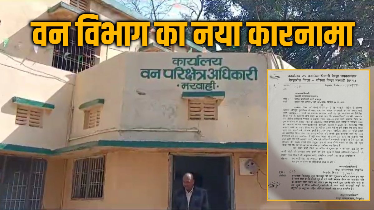 वनमंडल में भ्रष्टाचार की एक नई परत उजागर, फर्जी भुगतान की साज़िश का पर्दाफाश 