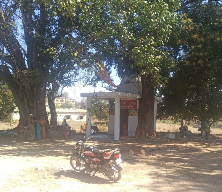 शिवालयों में उमड़ा आस्था का सैलाब - गूंजा हर-हर महादेव 