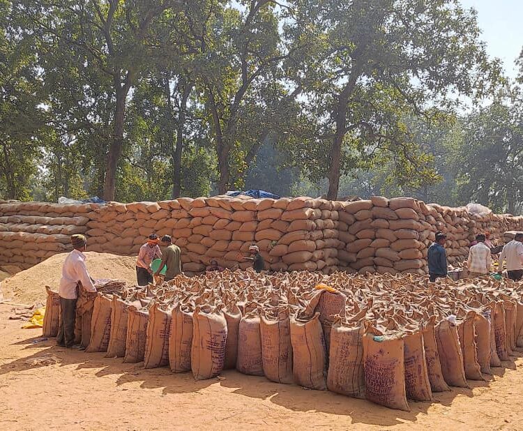 प्रशासन की धीमी चाल से खरीदी केंद्र बेहाल, धान उठाव बना सिरदर्द, प्रभारियों को सताने लगी चिंता