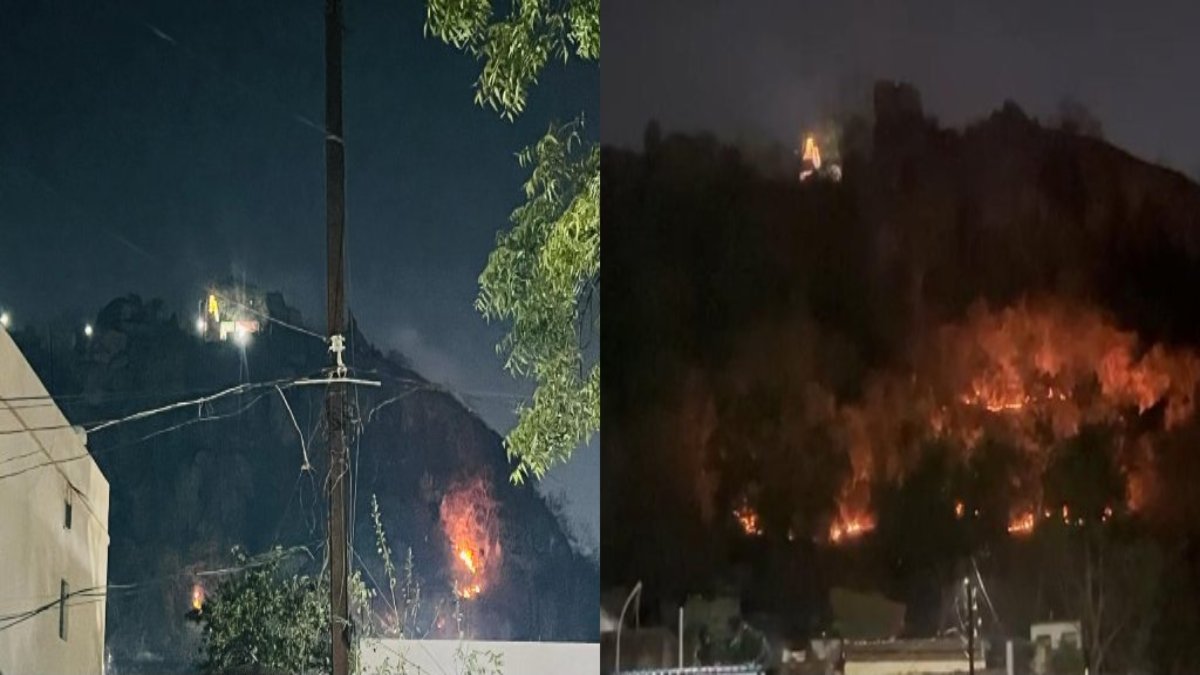 Dongargarh Fire: बुढ़ादेव पहाड़ी में लगी आग ने लिया विकराल रूप