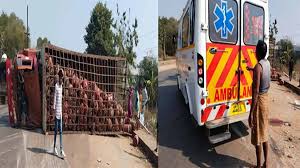  भीषण सड़क हादसे में गैस सिलेंडर से भरा ट्रक पलटा,चालक की मौत