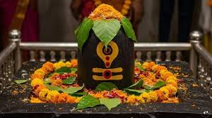  मार्गशीर्ष पूर्णिमा के दिन शिवलिंग में चढ़ाएं ये चीजें, धन-धान्य में होगी अपार वृद्धि