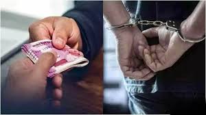 छत्तीसगढ़ में रिश्वत लेने वाले राजस्व निरीक्षक को 4 वर्ष की सजा,5000 का अर्थदण्ड भी 